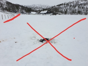 Bålpannerester tømt ut på snøen - på dyrka mark